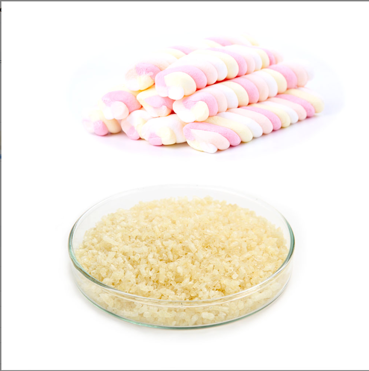 Fresh animal skin gelatin gelatina for gummy candy